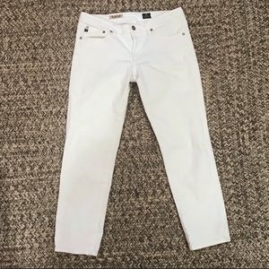 Adriano Goldschmied Cigarette Stilt Crop Jeans